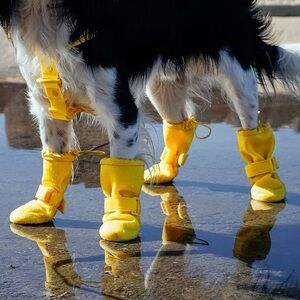 NWT Canada Pooch Waterproof Rain Dog Boots